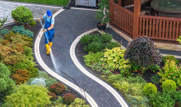 Best Roof Power Washing Services  in Eldorado, TX